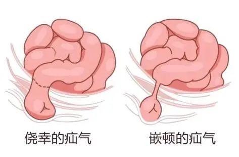 微信图片_20250401142110.jpg