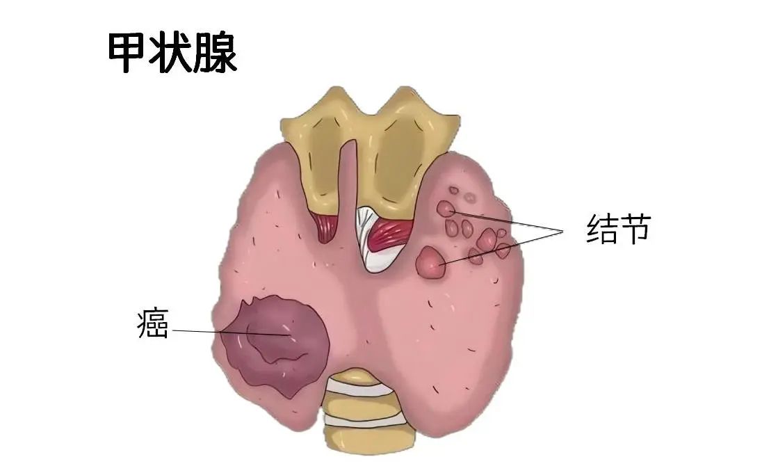 微信图片_20250429094941.jpg