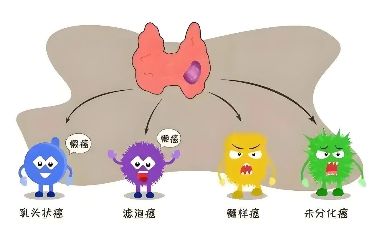 微信图片_20250429094946.jpg