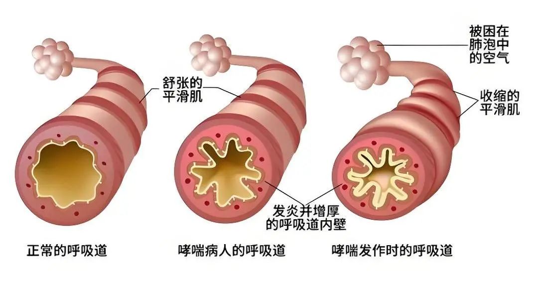 微信图片_20250502103525.jpg