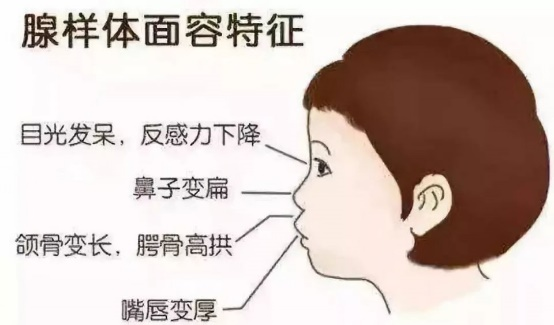 微信图片_20250518155414.png