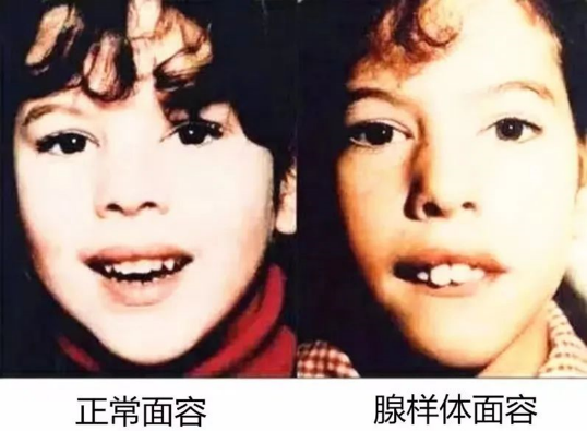 微信图片_20250518155422.png