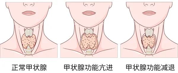 微信图片_20250613093302.jpg